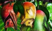 真让人不可思议