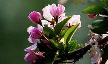 十六岁的我们，美得像花儿一样