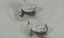 感悟生活——独处，也是一种享受