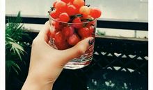 一点一滴看生命