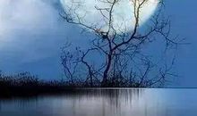 原来，我们都变了