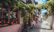 我心目中的乡村