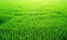 发现美，创造美