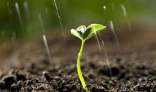 成功，从磨难中走来