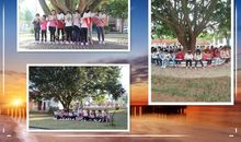 让我，在书香里安然成长