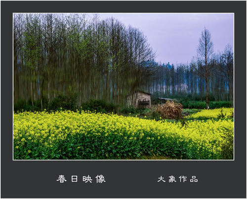 春天印象