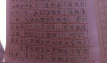 播撒种子实现梦想作文