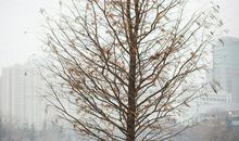 走过飘雪的季节