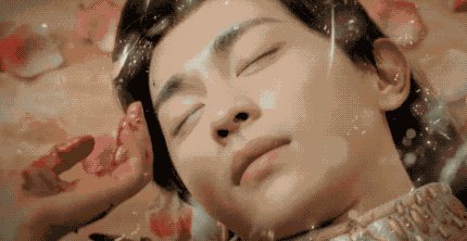 我的家人的电脑粉丝