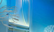 那份遗失的美好