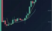 引领者与追随者