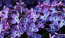 给心灵一份释然