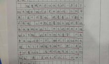 各有各的精彩高中作文