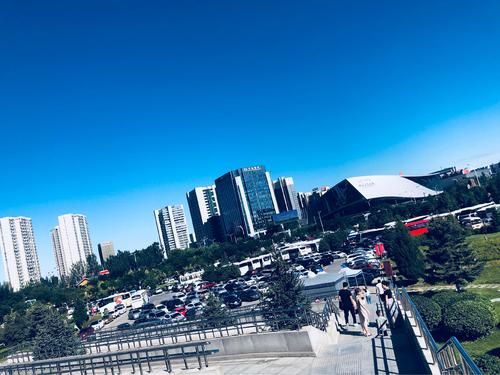 美丽的假日危险体验
