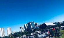 美丽假期的危险体验