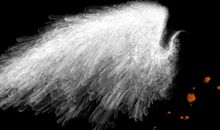 “翅膀”给我的光彩