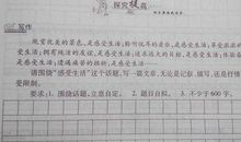 阳光总在风雨后作文600字