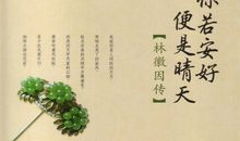 白莲般绽放——读《你若安好，便是晴天》有感