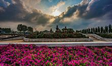 我爱我的家乡——高青