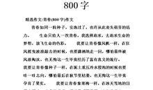 青春的颜色初中作文