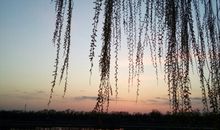 那一刻，夕阳很美