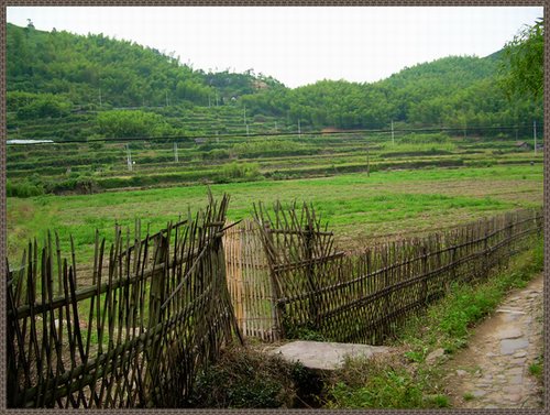 我想念我家乡的围栏