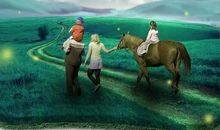 难忘的2016年暑假