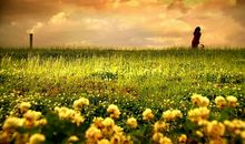 追求幸福的权利