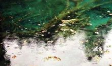 谁的诗行泛起了涟漪