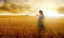 那个人给我印象最深