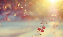 人生因乐观心态而美满