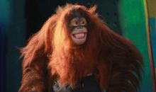 《孤岛上的红毛猩猩》读后感