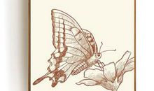 书之悟，书之乐