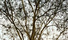 趣会大自然——四季小树林