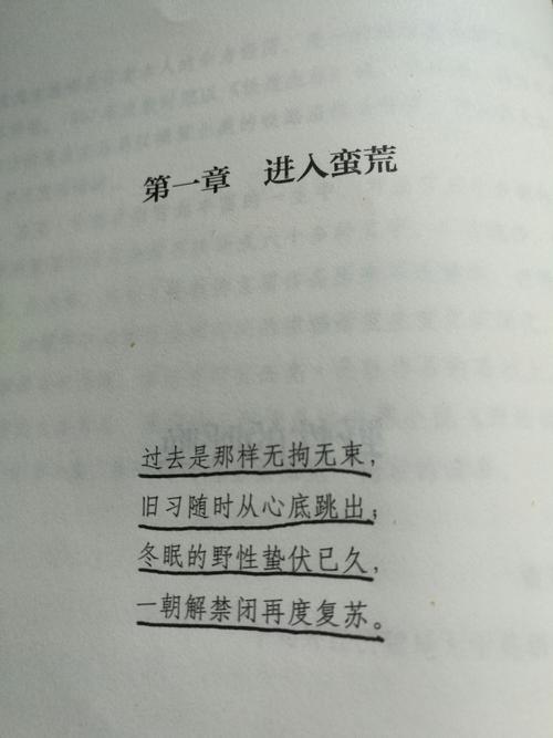 免费呼叫 - “荒野的召唤”