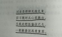 自由的呼唤——《荒野的呼唤》读后感