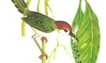 成功因汗水而芬芳