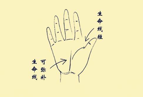 短期和长寿