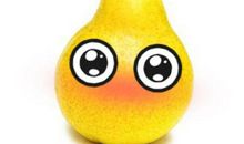 我爱家乡的萝卜