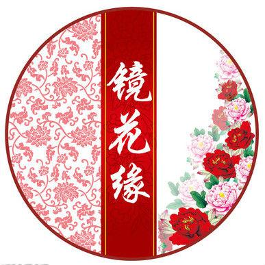镜线月亮密码 - 阅读“镜子遗留”