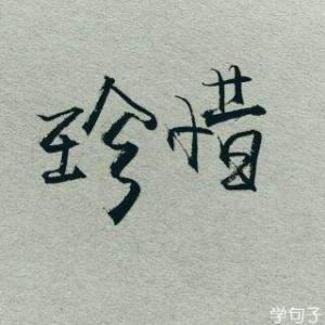 珍惜一切