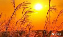 梦在晨曦微露时