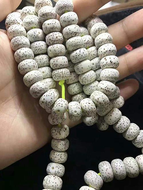 博迪生命