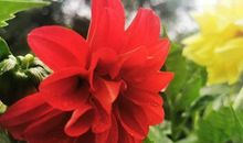 雨后的公园，我的珍藏