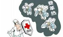 消灭“登革热”