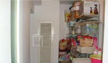 我爱冬季的西园