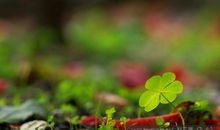 幸福原来就是给予