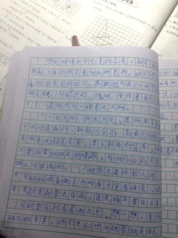 高中成长组成