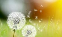 享受生命中的阳光