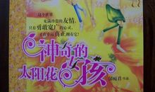 《神奇的太阳花女孩》读后感